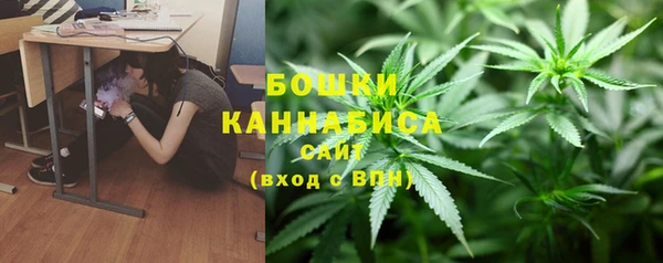индика Михайловка